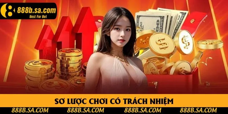 Sơ lược chơi có trách nhiệm