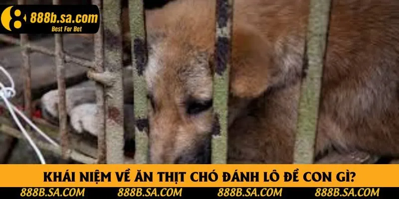 Khái niệm về ăn thịt chó đánh lô đề con gì?